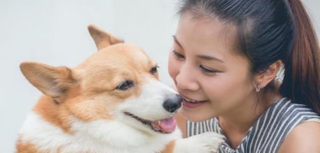 Advanced VetCare